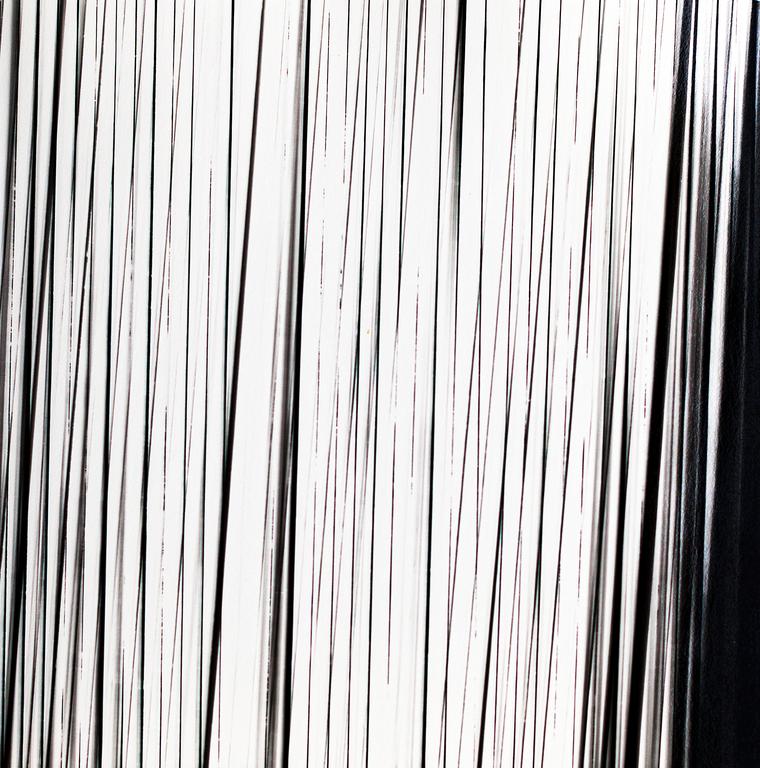 Catalogue raisonné, Henri Foucault, Lignes 21 - 1995