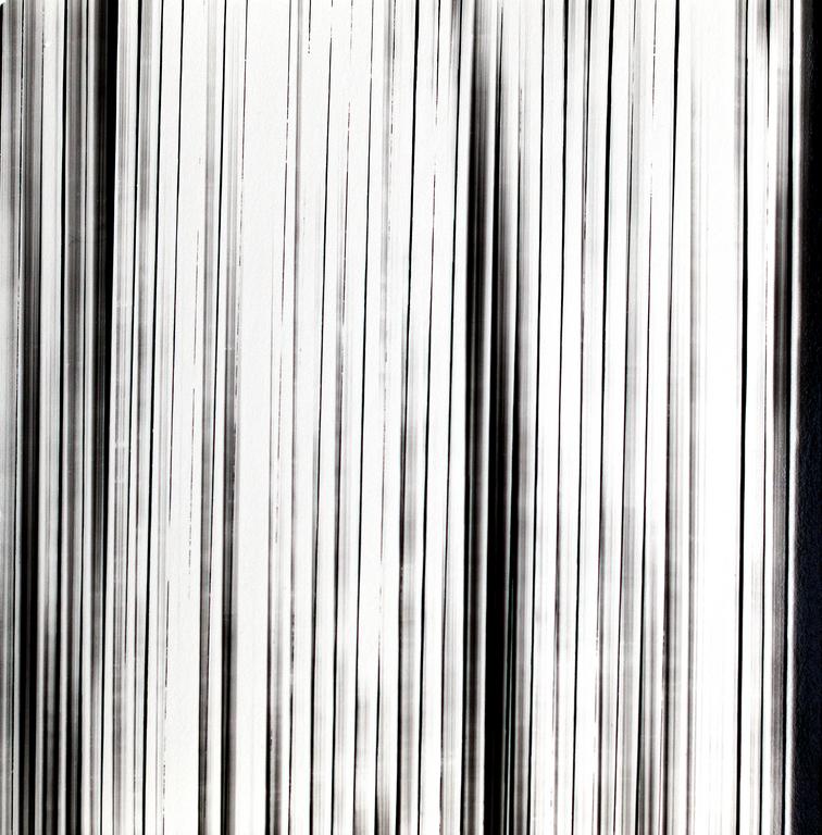 Catalogue raisonné, Henri Foucault, Lignes 25 - 1995