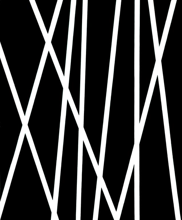 Catalogue raisonné, Henri Foucault, Lignes 28 - 1995