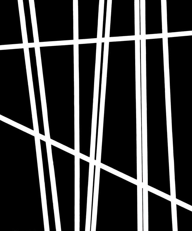 Catalogue raisonné, Henri Foucault, Lignes 29 - 1995
