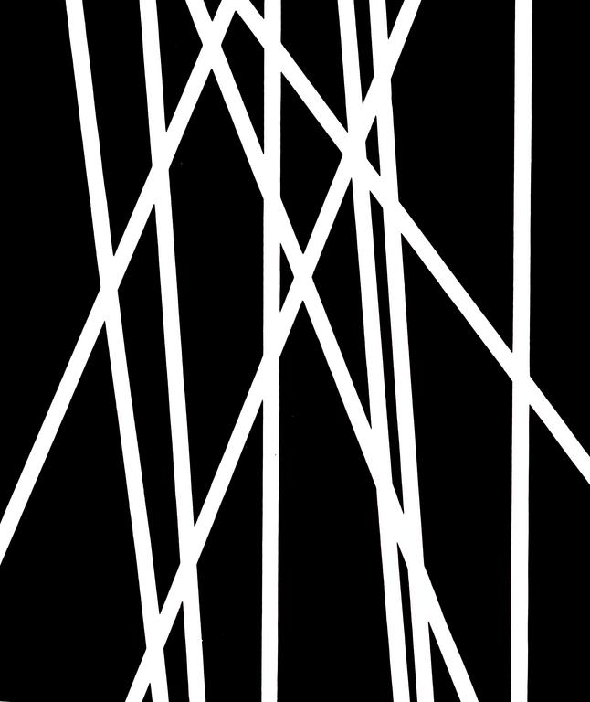 Catalogue raisonné, Henri Foucault, Lignes 41 - 1995