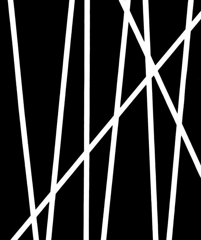 Catalogue raisonné, Henri Foucault, Lignes 42 - 1995