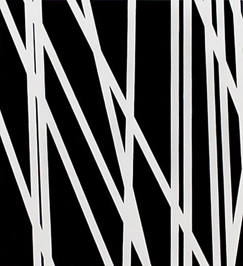 Catalogue raisonné, Henri Foucault, Lignes 45 - 1995