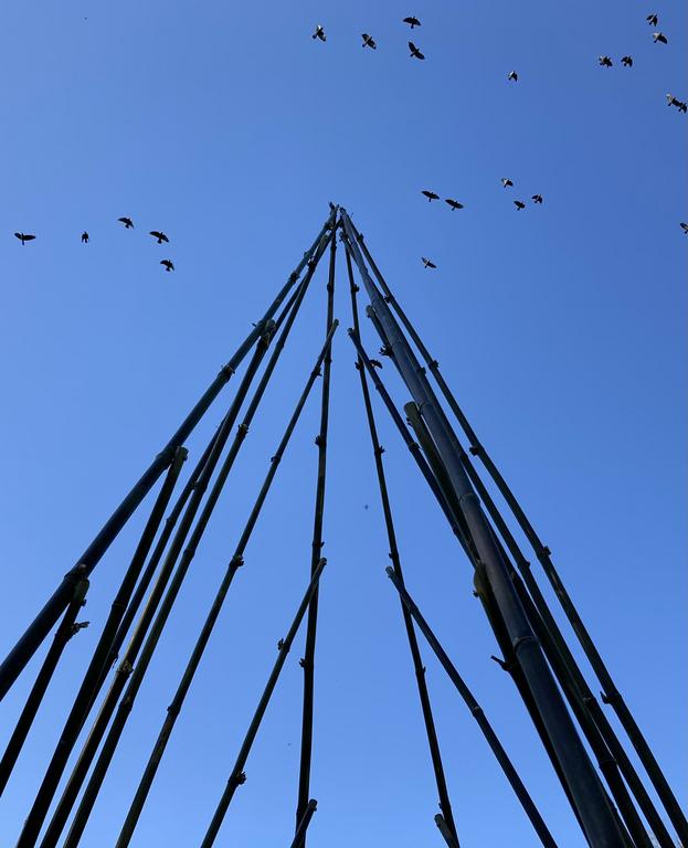 Installation "les Dialogues" Emmanuelle Briat, Château de Seneffe, Belgique