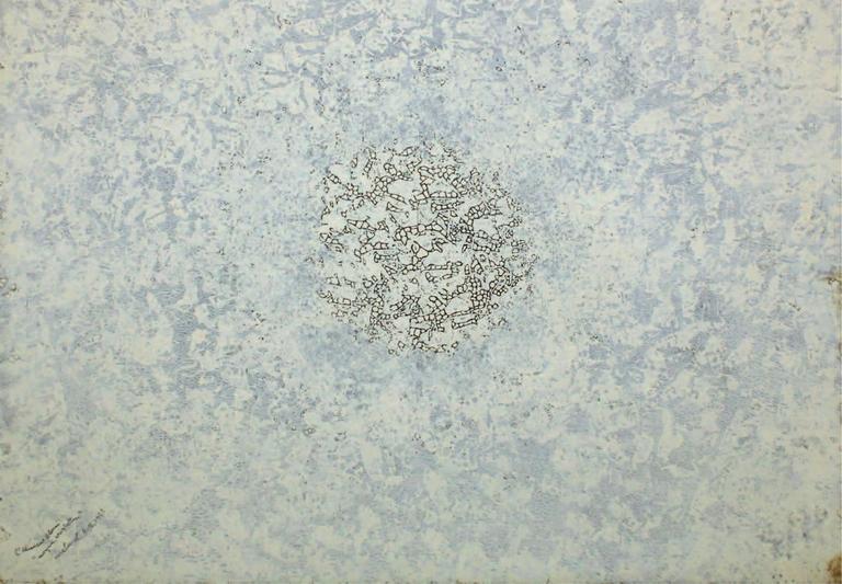 Catalogue raisonné, Robert Malaval, L'Aliment Blanc : noyau cristallin