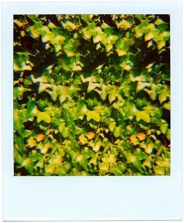 Henri Foucault, Polaroid SX 70 daté du 16 juillet 08