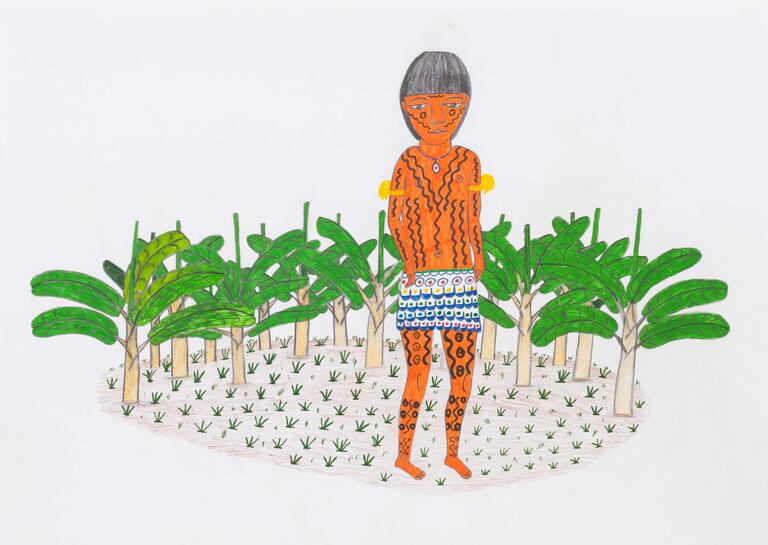 Joseca Yanomami, When Yamanayoma, the female spirit of the bee, continues to walk her short and steady steps over the earth, food keeps growing. This is Yamanayoma, 2013, Hydrographic pen, graphite pencil and crayon on paper, 29,5 x 42 cm. Gift of Clarice Tavares to the MASP collection, 2021