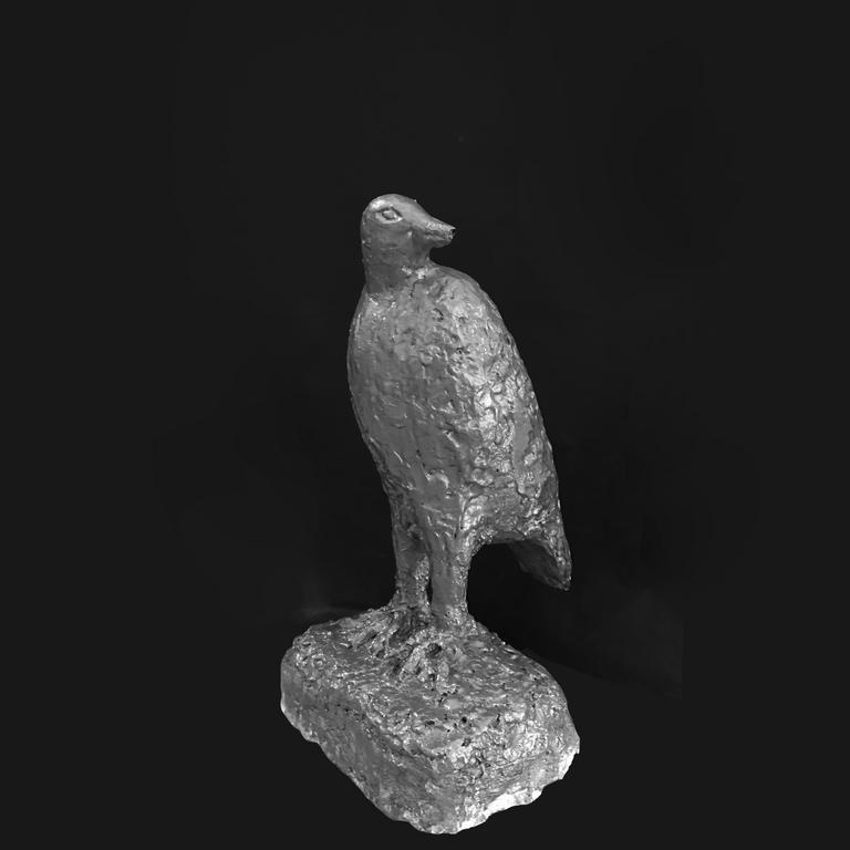 Catalogue raisonné, Louis Derbré, Oiseau de proie