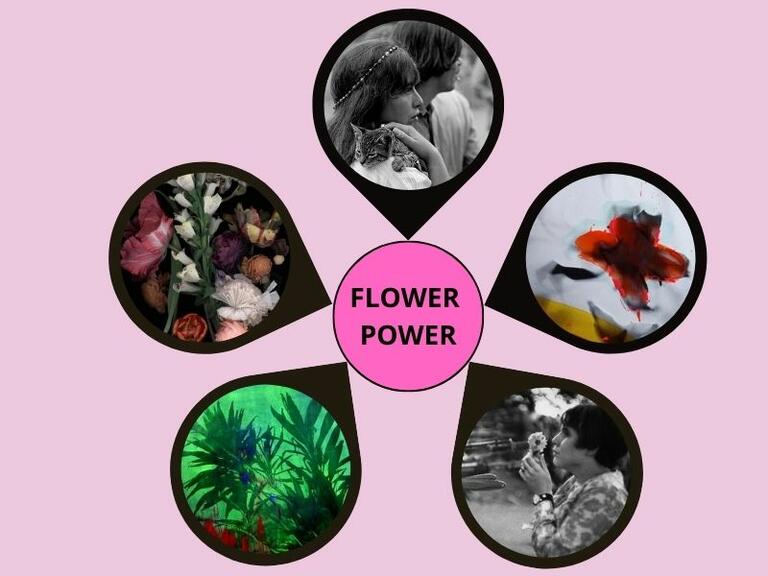 Flower Power