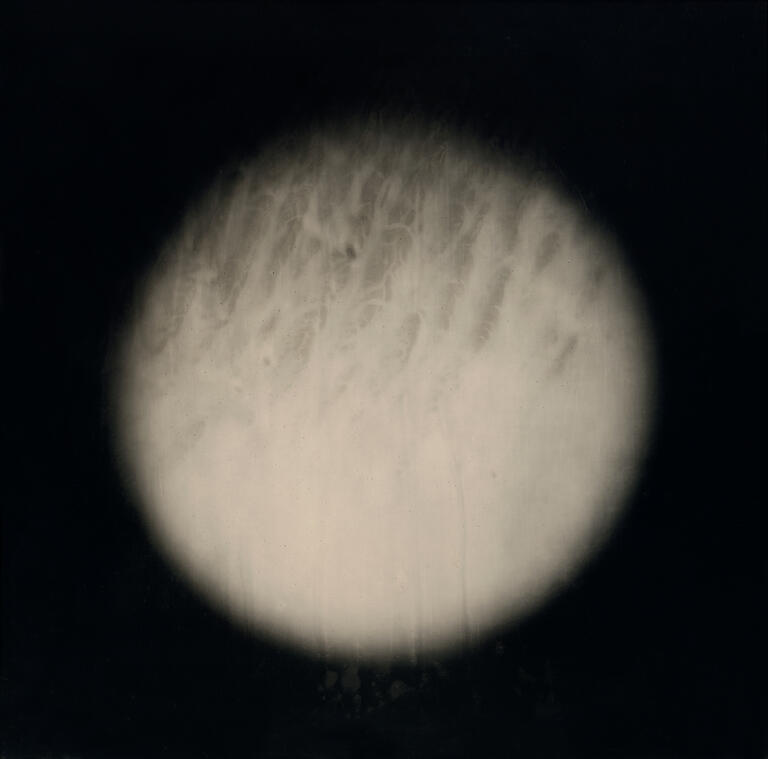 Eric Antoine La forme I, n° 1/1 (2022) - ambrotype - 40 x 40 cm ©Eric Antoine, courtesy Galerie Capazza