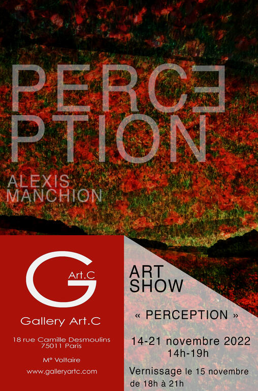 Exposition Perception Alexis Manchion 