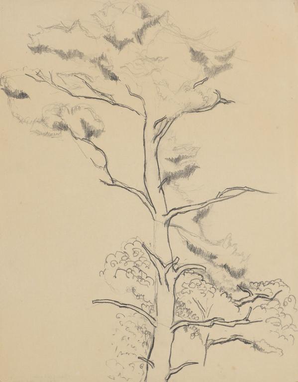 Jean Legros, Sans titre, étude pour un arbre, circa 1944-1945