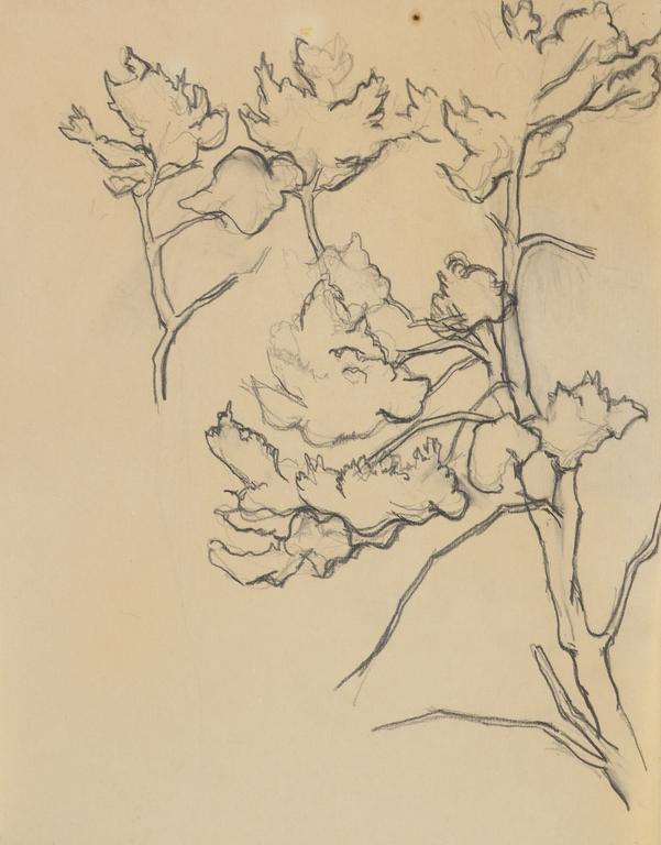 Jean Legros, Sans titre, étude d'arbre et son feuillage, circa 1944-1945