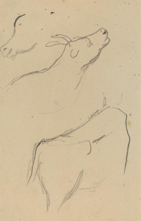 Catalogue raisonné, Paul Gauguin, Études d'une vache, 1884-1888