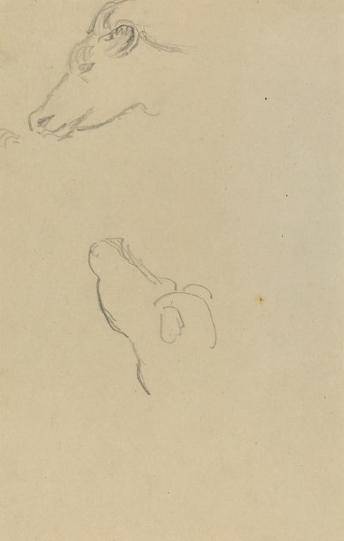 Catalogue raisonné, Paul Gauguin, Tête de vache, 1884-1888