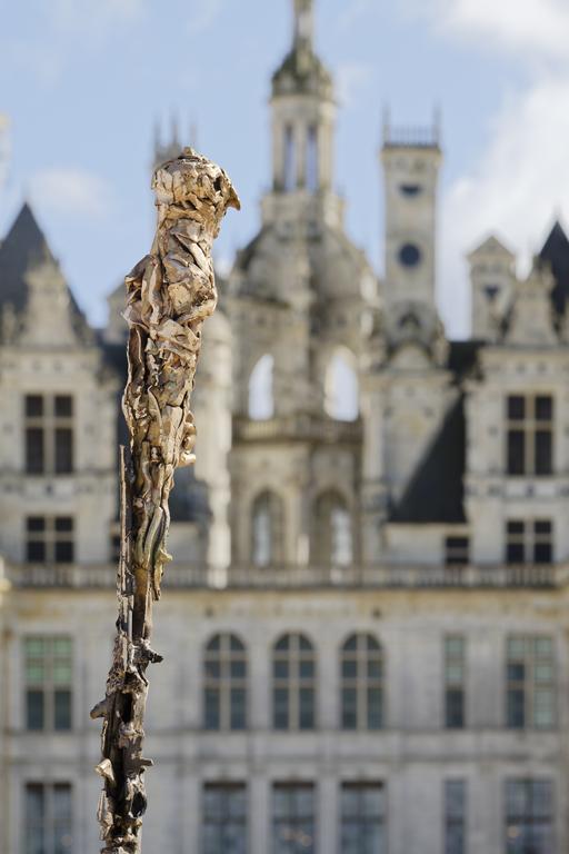 Lionel Sabatté, Champ d'oiseau, 2023, Chambord © Aurélien Mole