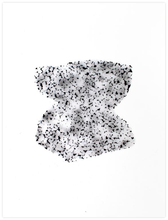 Catalogue raisonné, Henri Foucault, Brancusi 3 - 2002