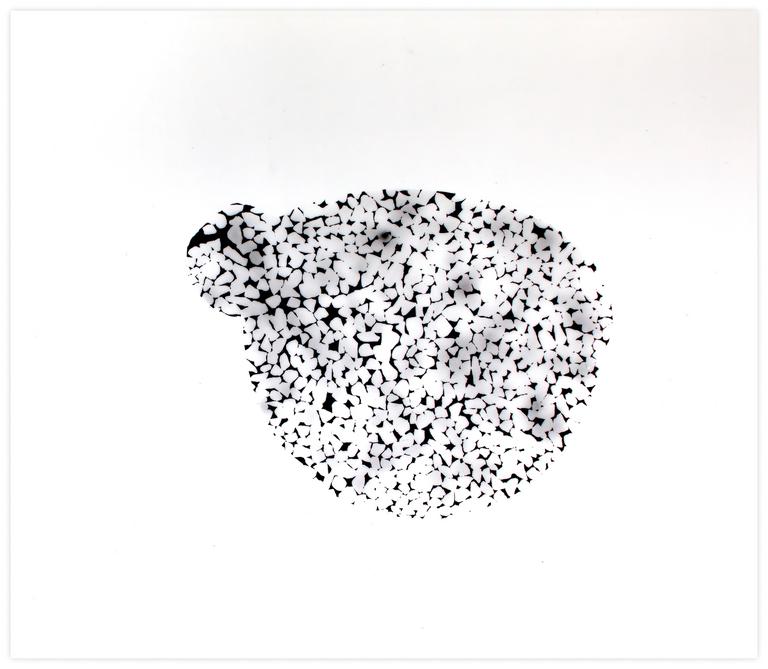 Catalogue raisonné, Henri Foucault, Brancusi 5 - 2002