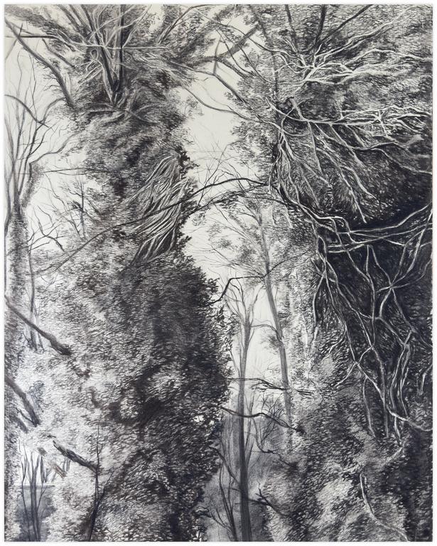 Claude Grobéty, Arbres (Meudon ?) - 1971