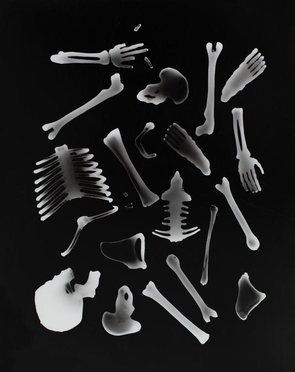 Catalogue raisonné, Henri Foucault, Squelette décomposé 1 - 1995