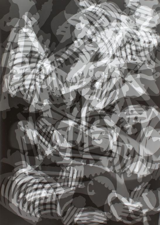 Catalogue raisonné, Henri Foucault, Squelette décomposé 2 - 1995