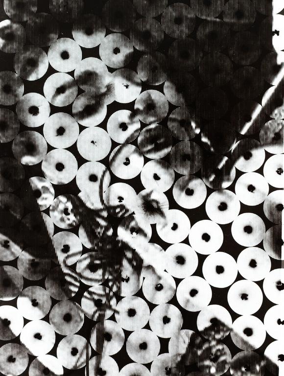 Catalogue raisonné, Henri Foucault, Vie secrète 14 - 1997