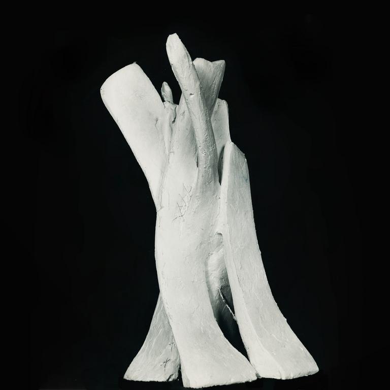 Isabelle Waldberg, La Grande faille II ou (Monument pour une faillite 2) photo du plâtre -1958