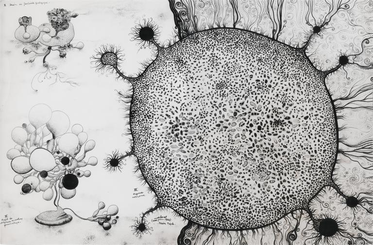Catalogue raisonné, Robert Malaval, Dessin triple - 1964