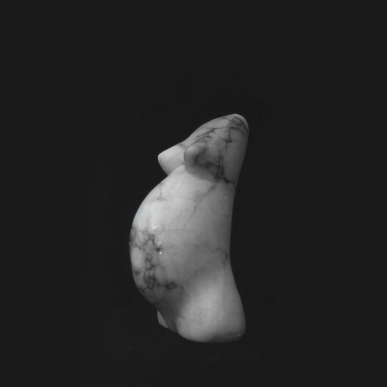 Catalogue raisonné, Achiam, Torse de Femme enceinte - 1987