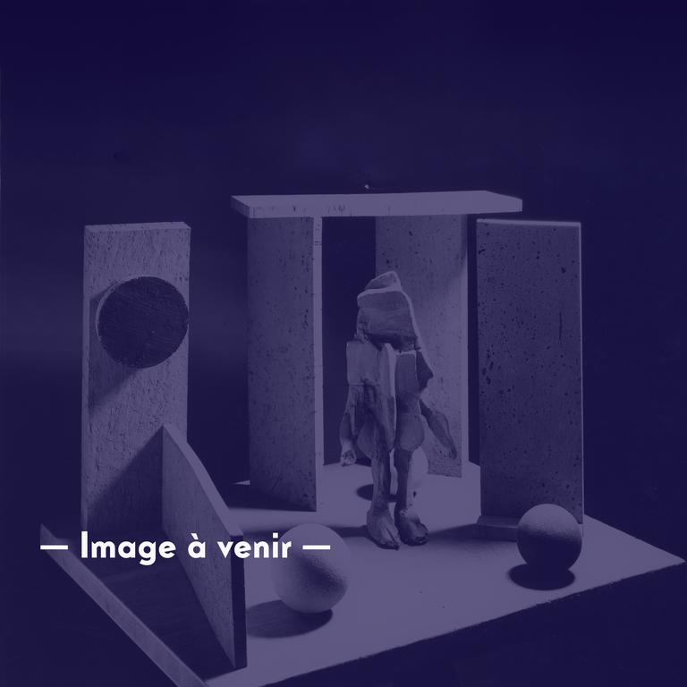 Catalogue raisonné, Isabelle Waldberg, Homme situé I - 1968-1970