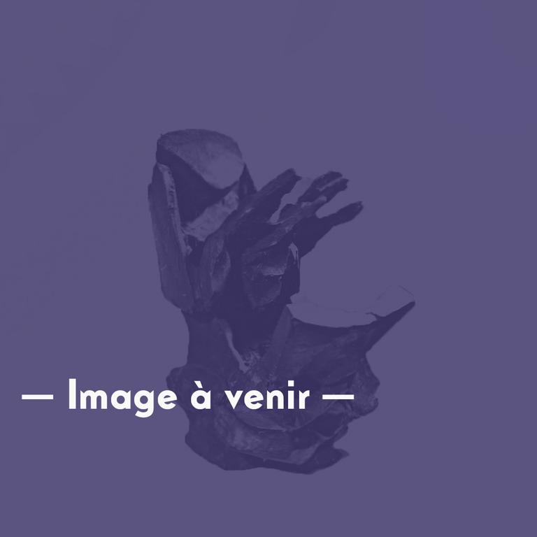 Catalogue raisonné, Isabelle Waldberg, Homnivore - 1975