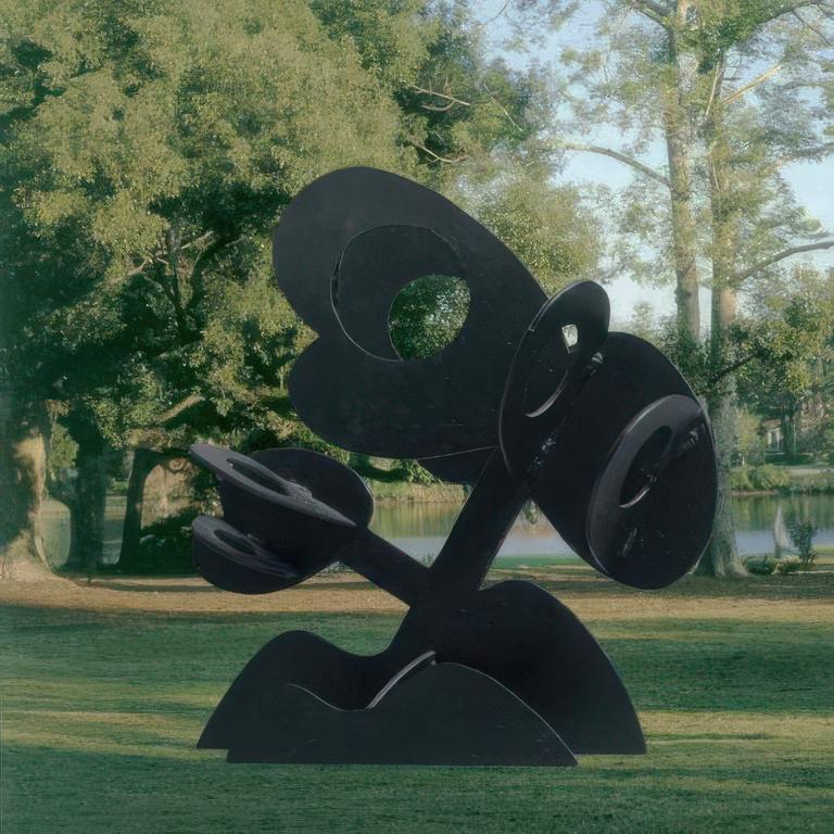 Catalogue raisonné, Claude Gilli, Arbre noir —