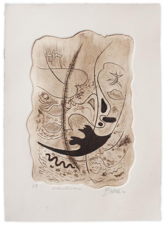 Catalogue raisonné, Henri Baviera, NATURELLEMANE — 2024