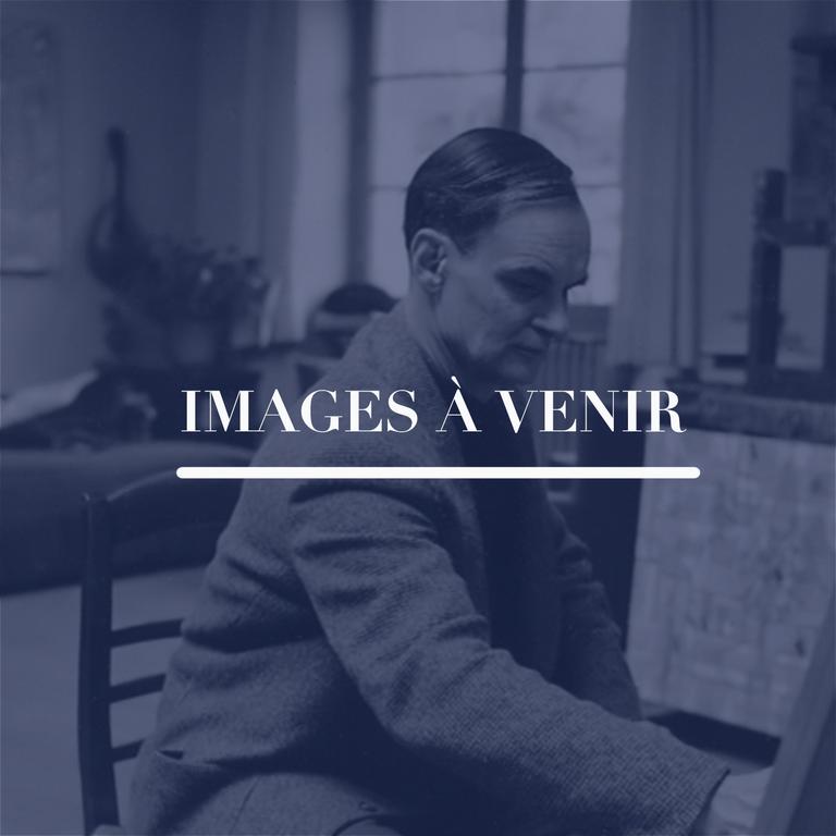 Catalogue raisonné, Hans Seiler, La vallée bleue, circa 1982