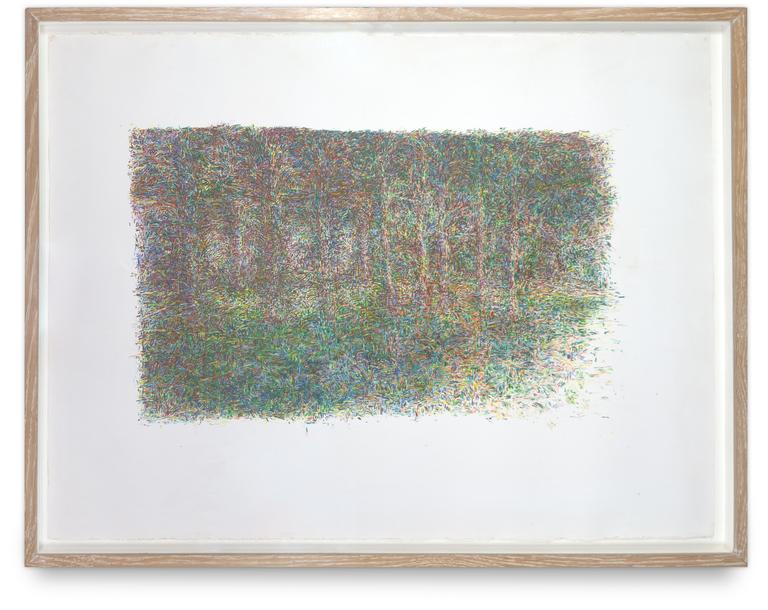 Catalogue raisonné, Bernadette Delrieu, Sous les Arbres - 1993-1994