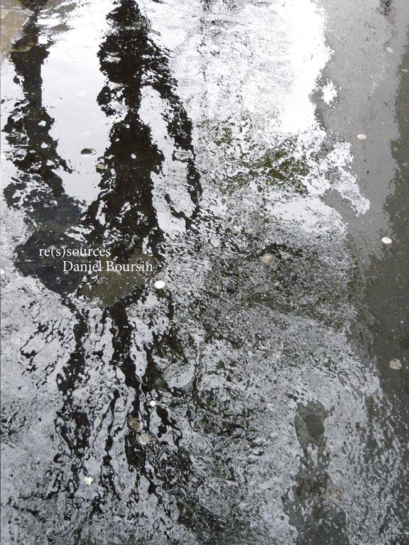 Catalogue raisonné, Daniel Boursin, re(s)source — 2019