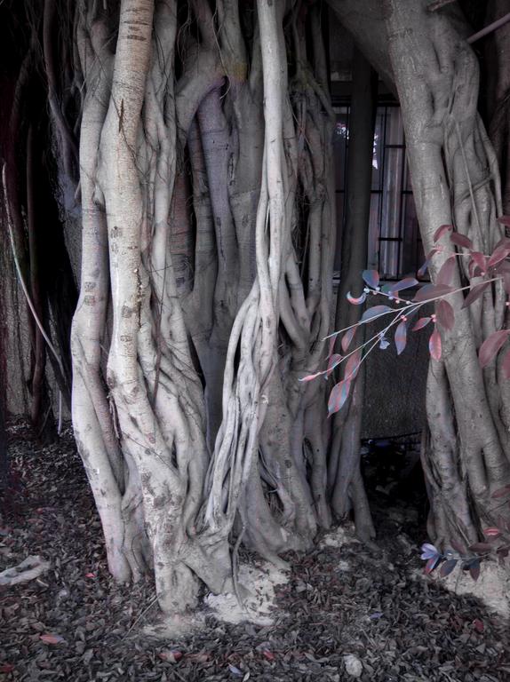 Catalogue raisonné, Daniel Boursin, sitting in limbo — 2008