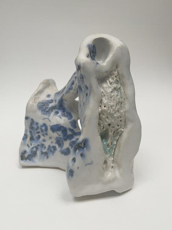 Catalogue raisonné, Daniel Boursin, bony blue — 2019