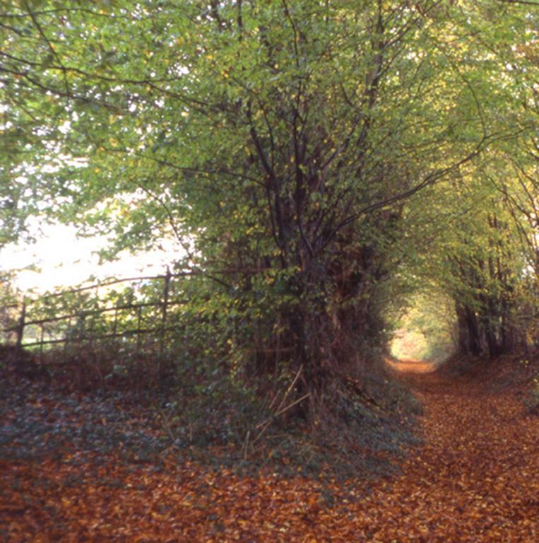 Catalogue raisonné, Bernadette Delrieu, Chemins n°02 - 1998-1999