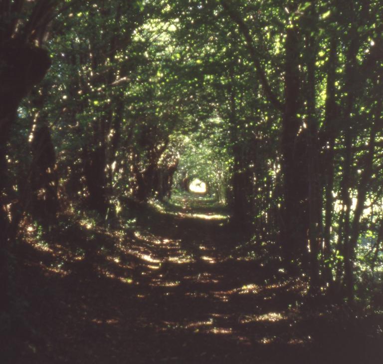 Catalogue raisonné, Bernadette Delrieu, Chemins n°04 - 1998-1999