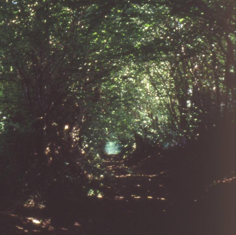 Catalogue raisonné, Bernadette Delrieu, Chemins n°06 - 1998-1999