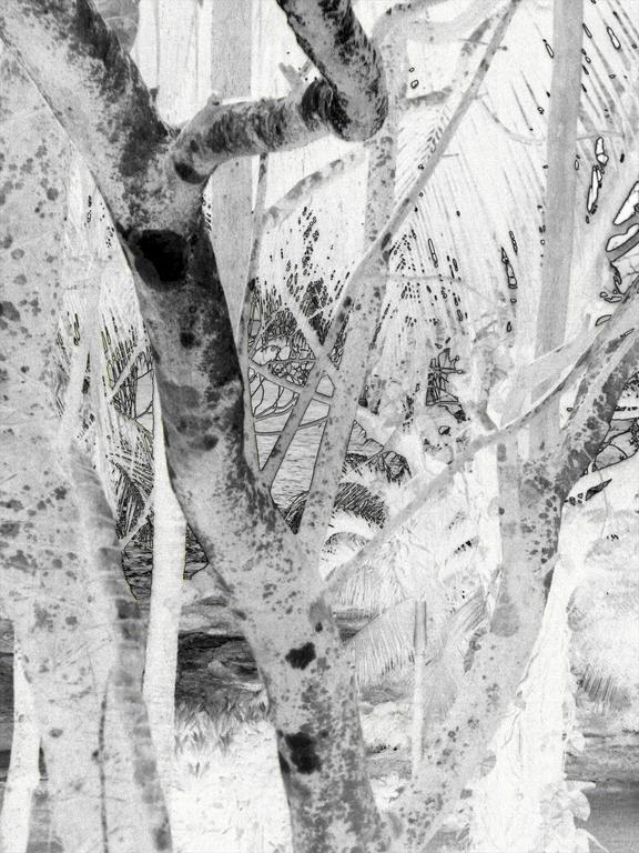 Catalogue raisonné, Daniel Boursin, ticos contour — 2006