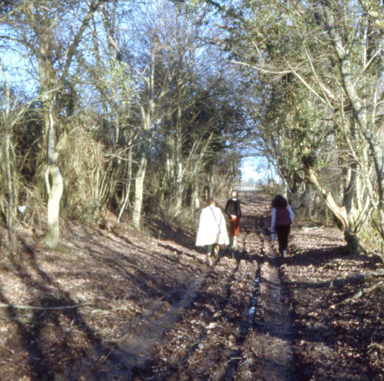 Catalogue raisonné, Bernadette Delrieu, Chemins n°01 - 1998-1999