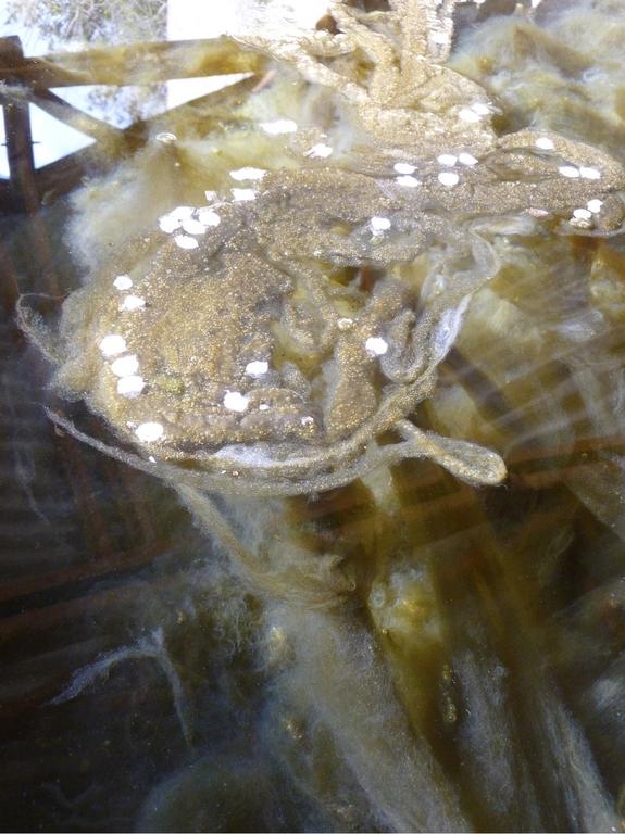 Catalogue raisonné, Daniel Boursin, lavoir filament — 2012
