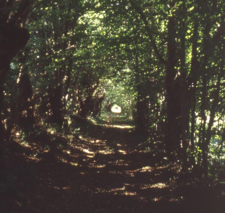 Catalogue raisonné, Bernadette Delrieu, Chemins n°04 - 1998-1999