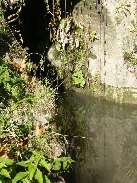 Catalogue raisonné, Daniel Boursin, ruisseau rempart — 2020