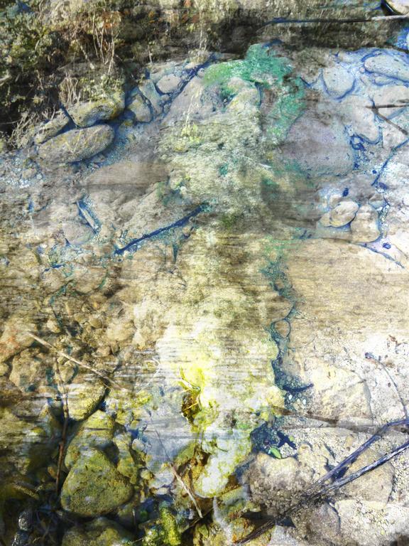 Catalogue raisonné, Daniel Boursin, apt river twist — 2022