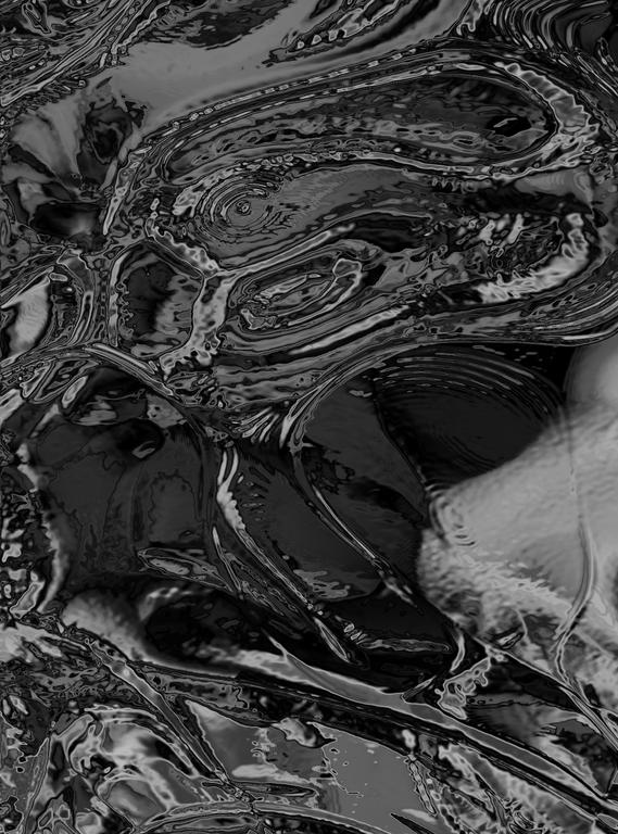 Catalogue raisonné, Daniel Boursin, badmoiré — 2011