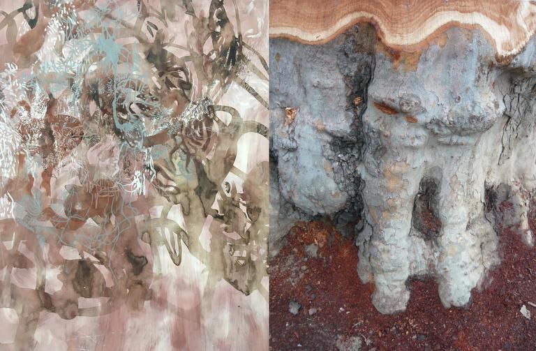 Catalogue raisonné, Daniel Boursin, 2F dyptique earthred & souche — circa 2009 