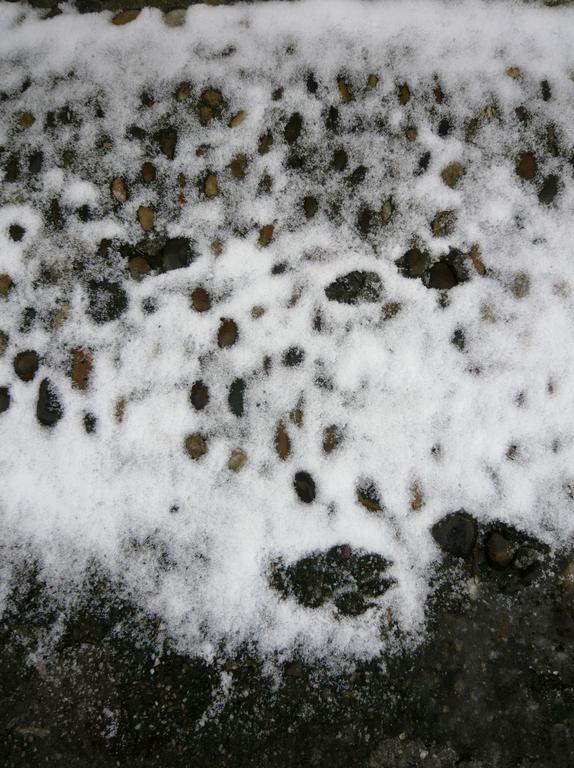 Catalogue raisonné, Daniel Boursin, neige baz calade — 2010